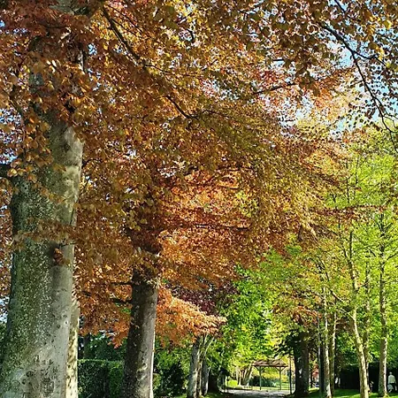 Chemin * Bayeux